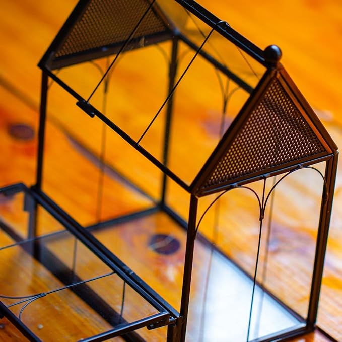NCYP Small Glass Terrarium Enclosure with Mesh for Jumping Spiders, Micro House Shaped Small Spiders Vented Glass Terrarium, Home Decor Black, 5.8" x 3.8" x 7" (No Plants)