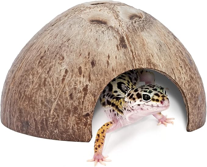 2 Pack Natural Coconut Reptile Hideouts, Lizard, Spider and Aquarium Fish Hide Cave (Smooth Surface)