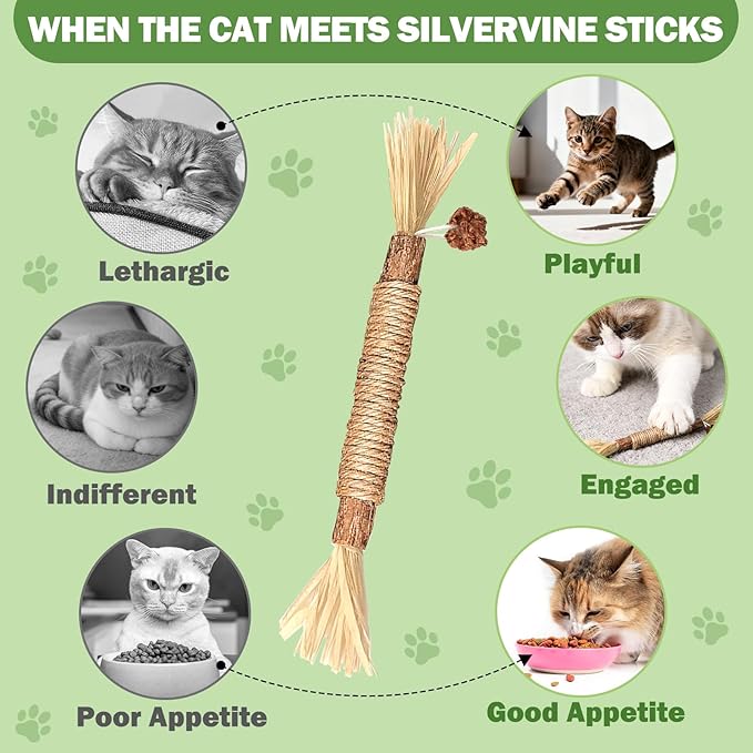 [10 Pack] Silvervine Sticks for Cats, Natural Chew Stick for Dental Care Teeth Cleaning, Cat nip Chew Rope Toys for Bored Indoor Kittens, Catmint Silvervine Blend Toys