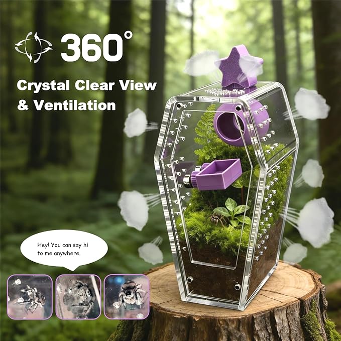 Jumping Spider Enclosure Jumping Spider Enclosure Kit Desktop Habitat Small Reptile Glass Terrarium Insect Accessory Set with Water Container Hiding Area(Black)