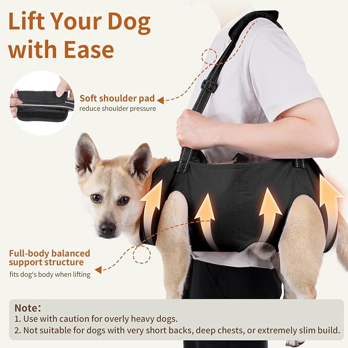 Full Body Dog Lift Harness, Support Senior & Disabled Dogs Walking | Help Up & Down Stairs Grooming, Dog Sling Backpack, Front Hind Leg Joint Injuries, Reflective, Soft Padded Handle | Black, M