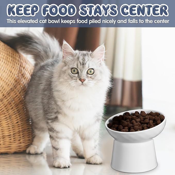 4 Pcs Ceramic Raised Cat Bowls, Elevated Tilted Cat Bowl for Food Water, Stress Free, Backflow Prevention, Dishwasher Microwave Safe, Feeder Dish for Indoor Kitten, Small Dogs(White and Grey)