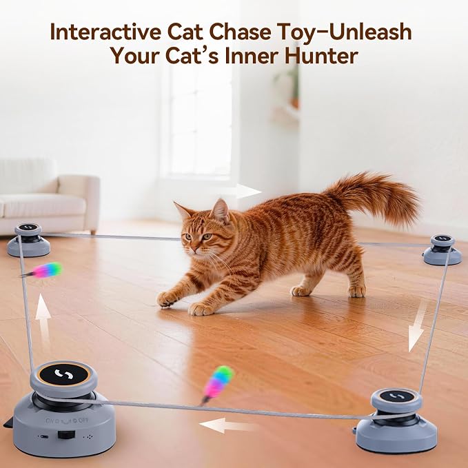 Jripae Interactive Cat Toys for Indoor Cats DIY Multi-Track Chase | Adjustable Speed,Electric Moving Treadmill Feather lure Toy Self-Play for Bored Kittens Adult Cats Hunt Instinct Exercise Run