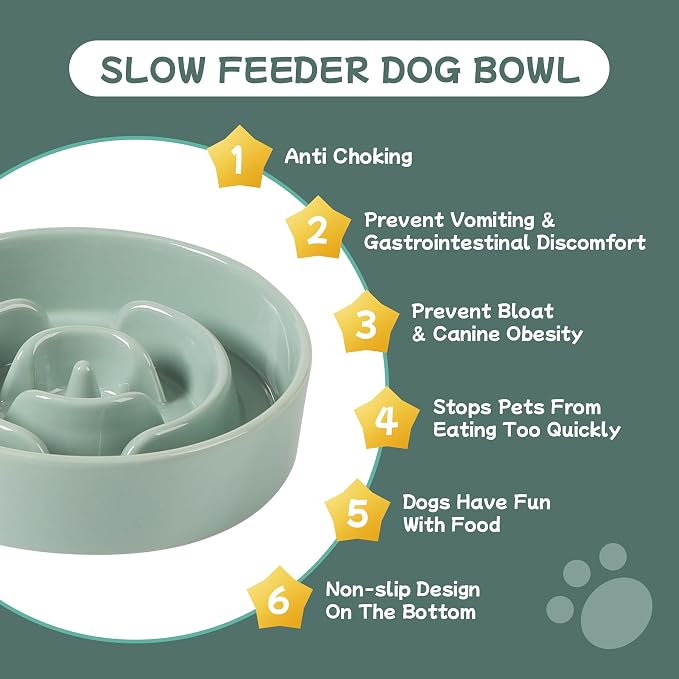Havniva Elevated Slow Feeder Dog Bowls, Ceramic Dog Bowl Slow Feeder | 0.9 Cups Raised Slow Feeding Bowl for Small Breed, Puzzle Dog Food Bowl with Wooden Stand, Non-Slip, Anti-Choking