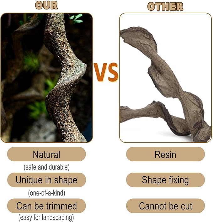 Reptile Decor 3PCS Natural Forest Branch Terrarium Habitat Decoration Lizard Climbing Tree Branch for Bearded Dragon Gecko Snake Frog Chameleon Spider
