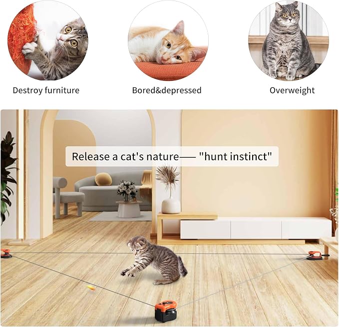 AsFrost Interactive Cat Toy for Indoor Cats Chase/Run/Hunt/Exercise-Orange | Self Play/Remote Control Funny Cat Toy, Gifts for Cat Lovers, Kitty's Weight Loss and Health