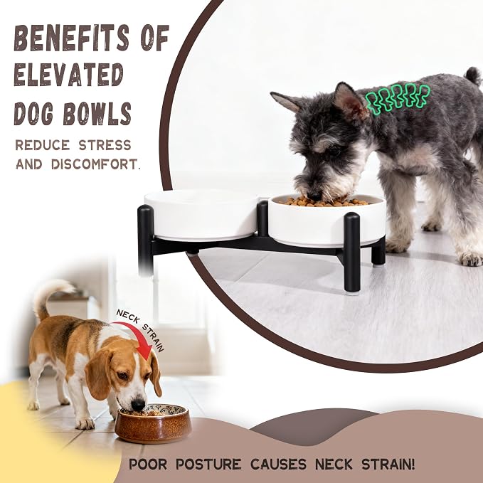 Raised Ceramic Dog Bowl Set with Stand, 2.1 Cups Elevated Dog Food Stand | 6'' Double Dog Food and Water Bowl Set, Non-Slip Dog Feeding Dishes for Small Breeds and Cats, 14 OZ, White
