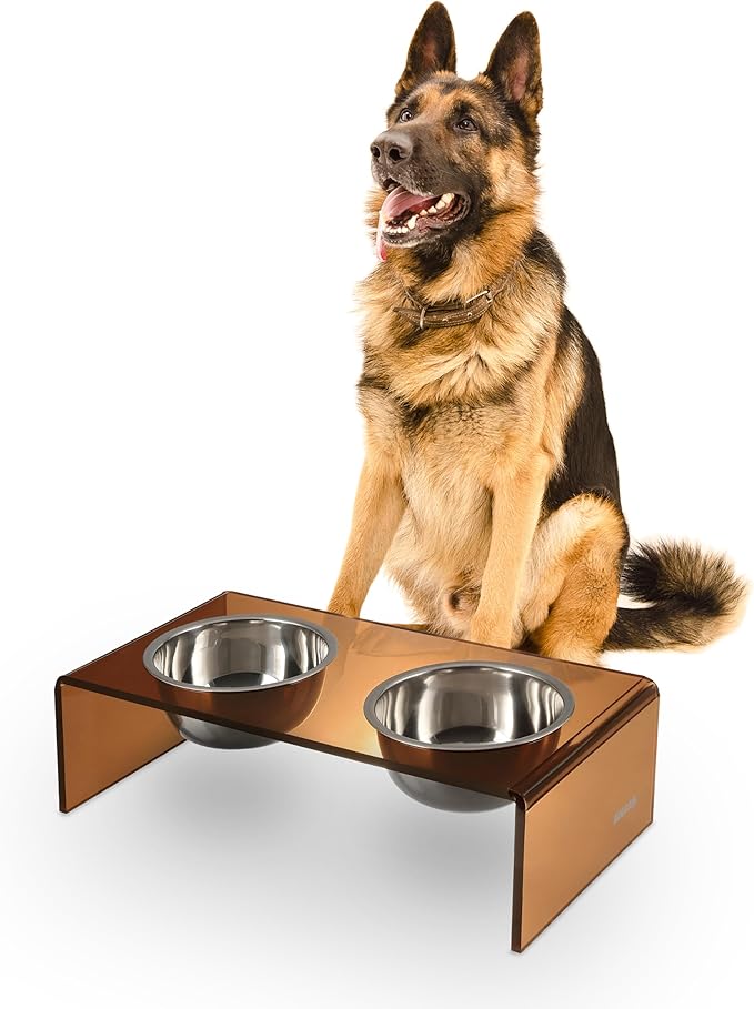 DBL2001D Keaton 7.5" Medium/Large Modern Acrylic Rectangular Elevated Pet Feeder with 54oz 2-Stainless Steel Bowls, Amber/Chrome
