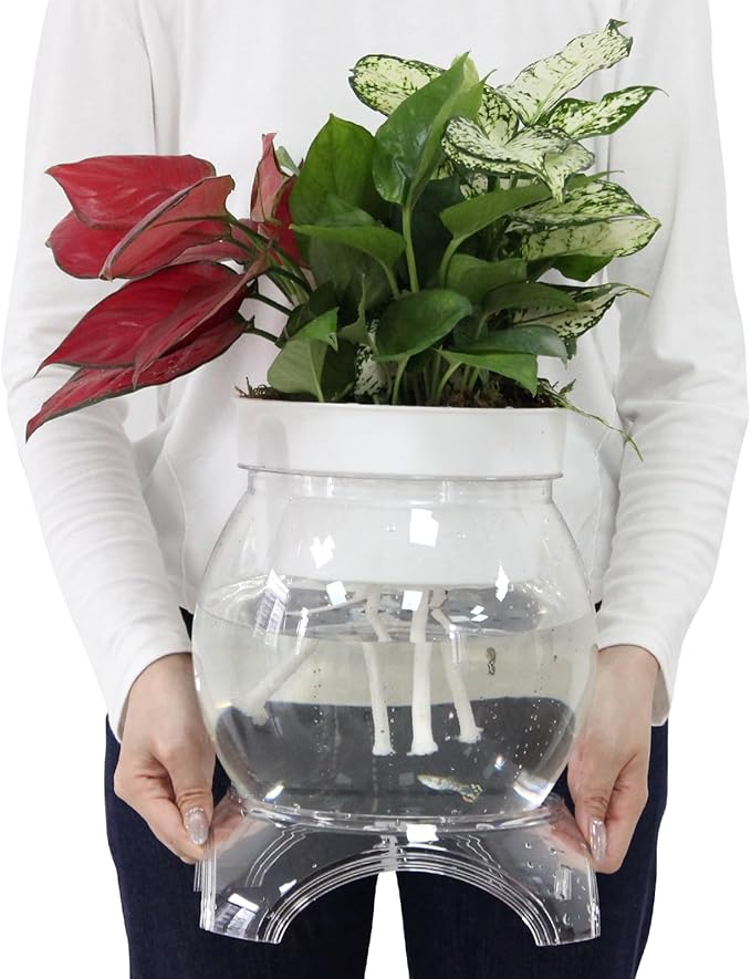 1 Gallon PET Aquaponic Fish Tank, Fish Bowl Aquaponic Betta Fish Tank Clear Aquarium for Betta Fish Reptiles Succulents Flower Vase Betta Fish Centerpiece Present for Home Office Desktop Decors