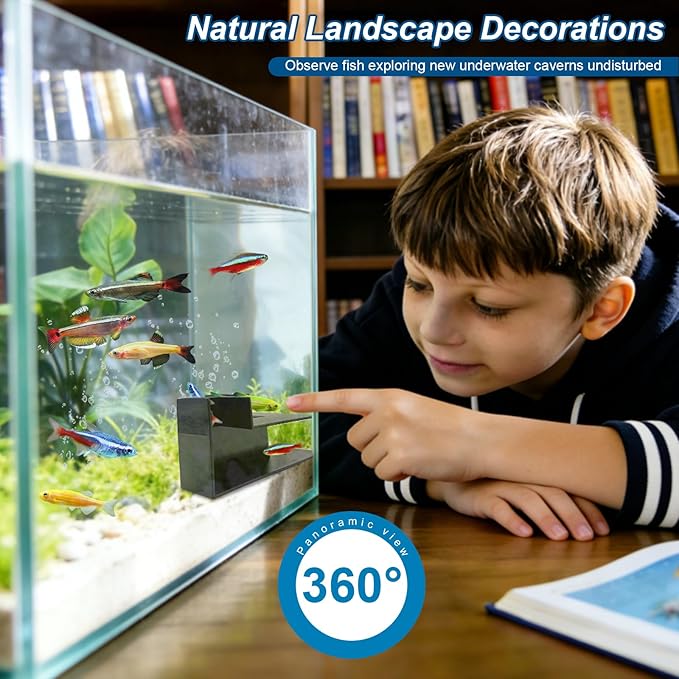 Black Aquarium Cave for Fish and Shrimp – Fish Tank Tunnel Hideout, Natural Decorative Tank Ornament for Betta, Shrimp, and Small to Medium Aquatic Tanks