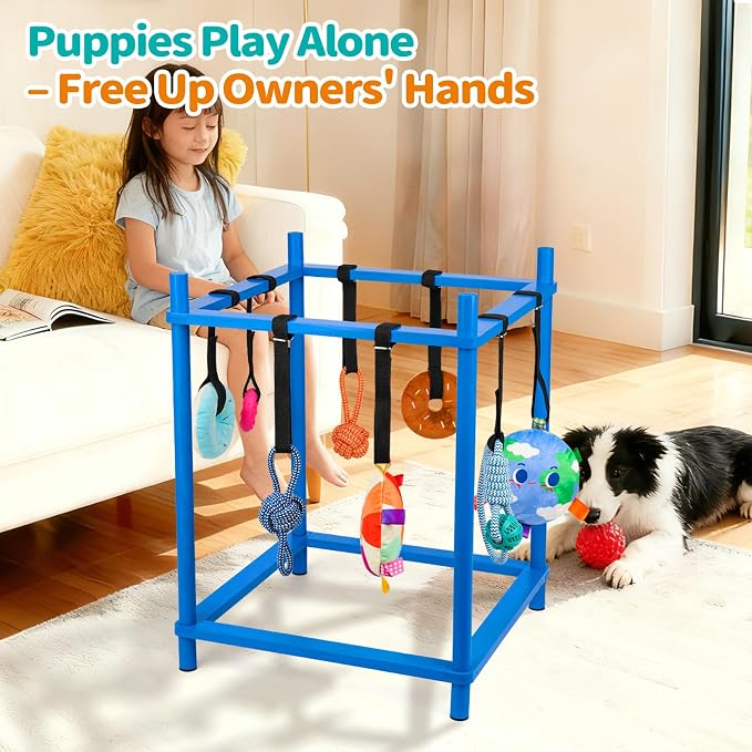 Wooden Puppy Play Gym for Small Dog with 8 Hanging Toys, Blue Frame | Wood Puppy Jungle Gym Indoor & Dog Enrichment Toys for Puppies 0-6 Months