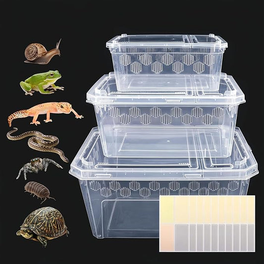 3Pcs Reptile Feeding Box Set, 3-Size Plastic Reptile Critter Keeper with Tags, for Isopods Snails Sling Geckos Frog Spiders Turtles Scorpion Serpents Tarantulas and Breeding Worms(Clear)