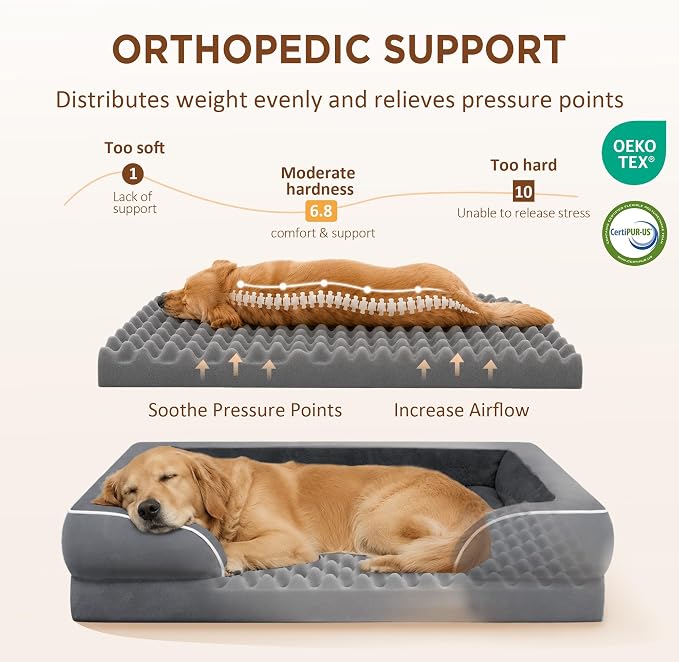 Comfort Expression Waterproof Orthopedic Dog Bed for Medium Size Dog | Supportive Egg Crate Foam Medium Pet Bed with Removable Bolsters, Dog Couch with Washable Cover & Non-Slip Bottom, 30x20 Inch