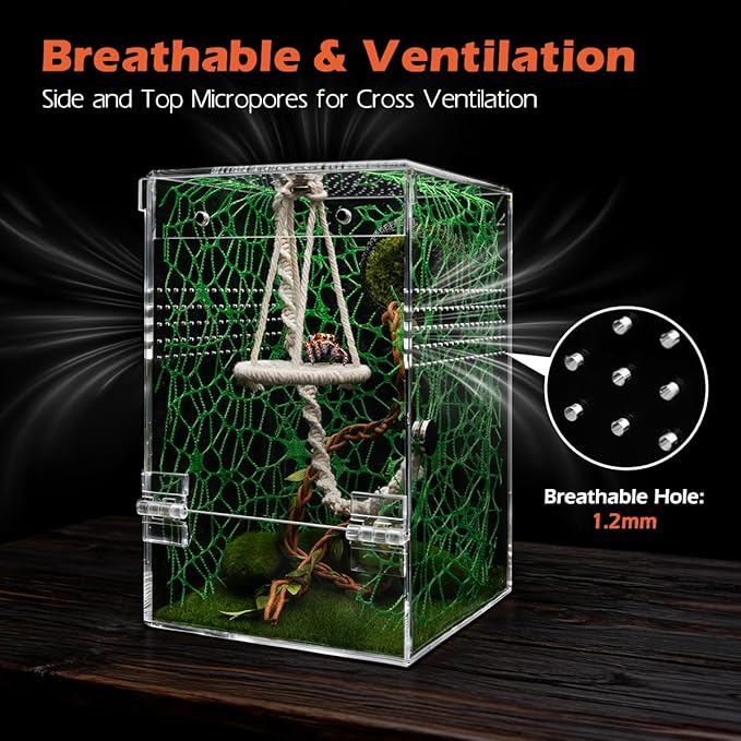 AZV Large Jumping Spider Enclosure Kit,Escape Proof Praying Mantis Habitat,Magnetic Door Arboreal Tarantula Spider Box,Complete Transparent Acrylic Beetle Terrarium,Insect Cage Bug Starter Container