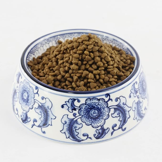 Blue and White Porcelaine Dog Bowls Ceramic Dog Cat Food and Water Bowls (5.8x7.2x2.4inch)