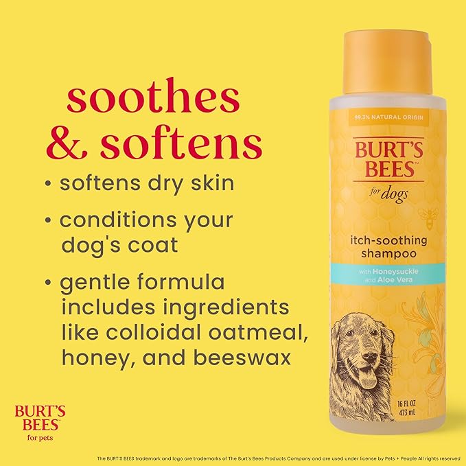 BURT'S BEES FOR PETS Itch Soothing Dog Shampoo for Itchy Skin, pH Balanced Honeysuckle with Skin-Conditioning Honey, 95%+ Natural Origin Formula, No Sulfates, Fragrances, or Colorants, 16 Fl Oz
