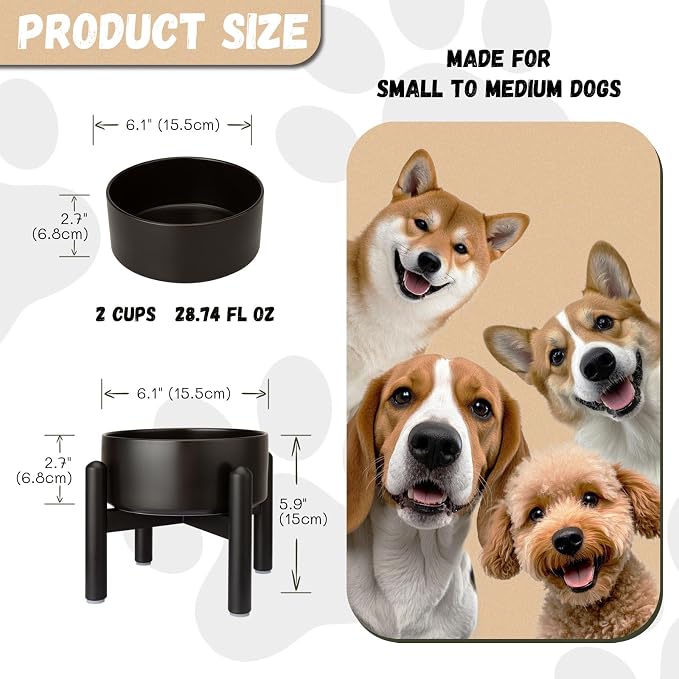 Raised Ceramic Dog Bowl Set with Stand, 2 Cups Elevated Dog Food Stand | 6.1'' Single Dog Food or Water Bowl Set, Non-Slip Dog Feeding Dishes for Small to Medium Breeds, 28.75 OZ, Black
