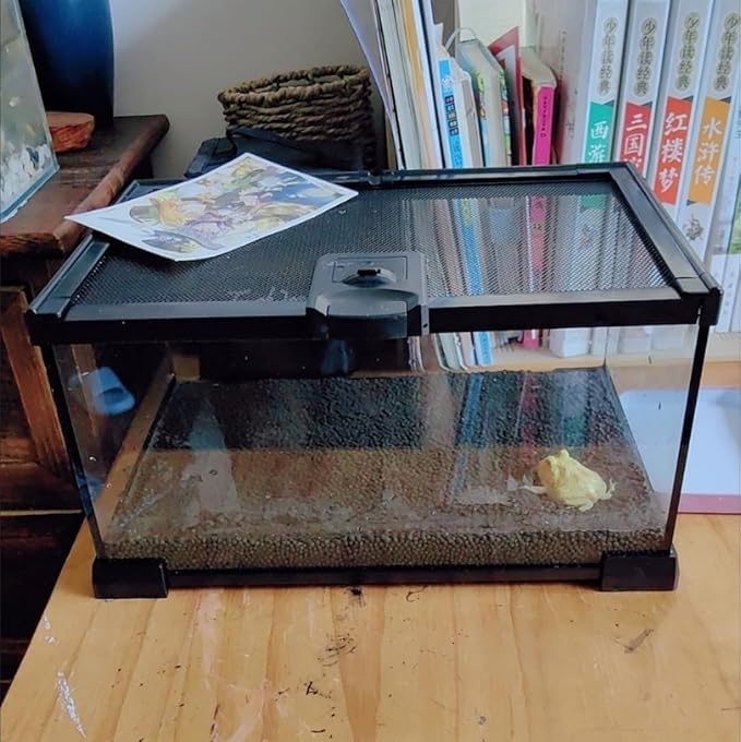 AWXZOM Mini Reptile Glass Terrarium Tank, cage for Tarantula Sling Geckos, Frog, Lizards, Chameleons,Turtles Snake Snail Insect Hermit Crab Isopods Reptiles Enclosure (12x8x6inch)