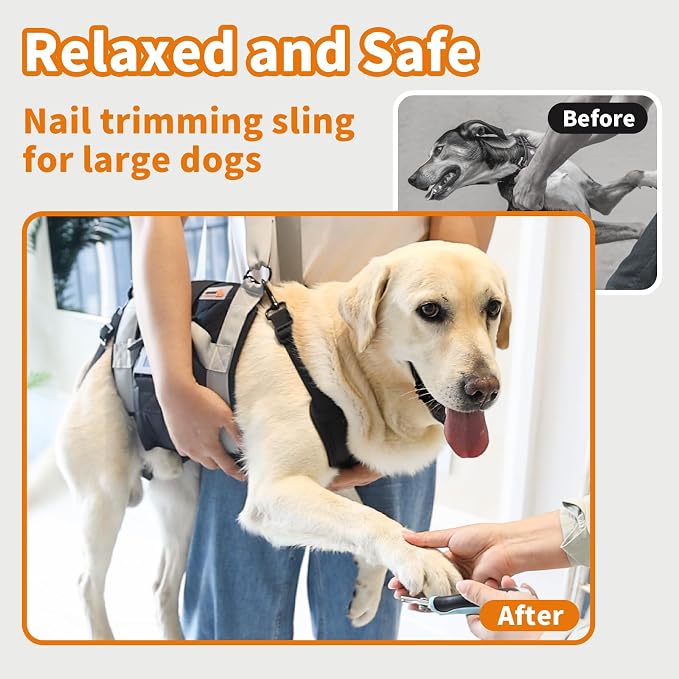 Dog Lift Harness for Large Dogs,Full Body Dog Sling Carrier, Blue, XL | Help Support Big, Elderly Pet with Arthritis, Front/Rear Legs Assistance with Handle, for Lifting Injured Dogs Up Stairs