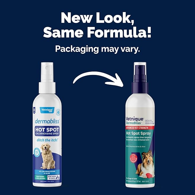 Vetnique Dermabliss Hot Spot Treatment for Dogs - Antiseptic Medicated Chlorhexidine Spray - Vet Recommended for Skin Infections, Hot Spots & Irritation (Hot Spot Spray, 8oz)
