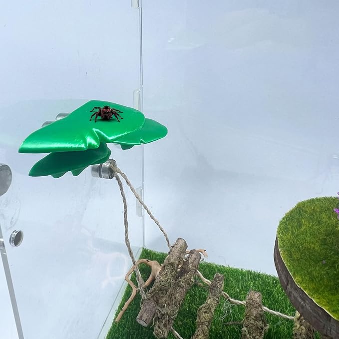 Jumping Spider Mushroom Shelf, Magnetically Concealed Jumping Spider Habitat,Serves As Enclosure Decorate Accessories for Spider Climbing Feeding and Platforms (Green)