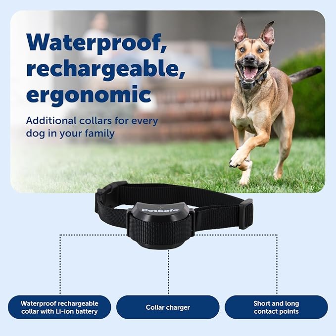 PetSafe Stay & Play Wireless Fence Receive Collar - Rechargeable and Waterproof Receiver Collar with Quick Charge in 2-3 Hours - for Dogs 5lb+