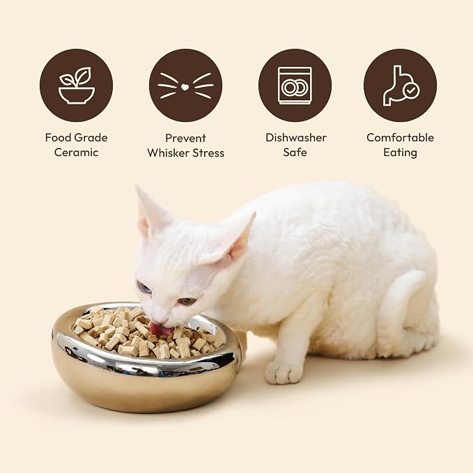 Pebble Pet Bowl Flat Blue, Ergonomic Dog Cat Feeding Bowl, Flat-Faced Breed, Tilted Ceramic Pet Food Dish, Scooper Eater, Anti-Spill Design, Dishwasher Safe, Modern Pet Bowl, Dry & Wet Diet