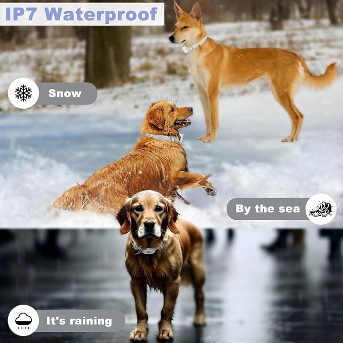 2-in-1 GPS Dog Fence & Training Collar – Wireless Electric Collar for Escape Prevention,Customizable Any-Shape Boundaries via App,Waterproof Pet Containment System for Backyard & Camping(Over 15 lbs)