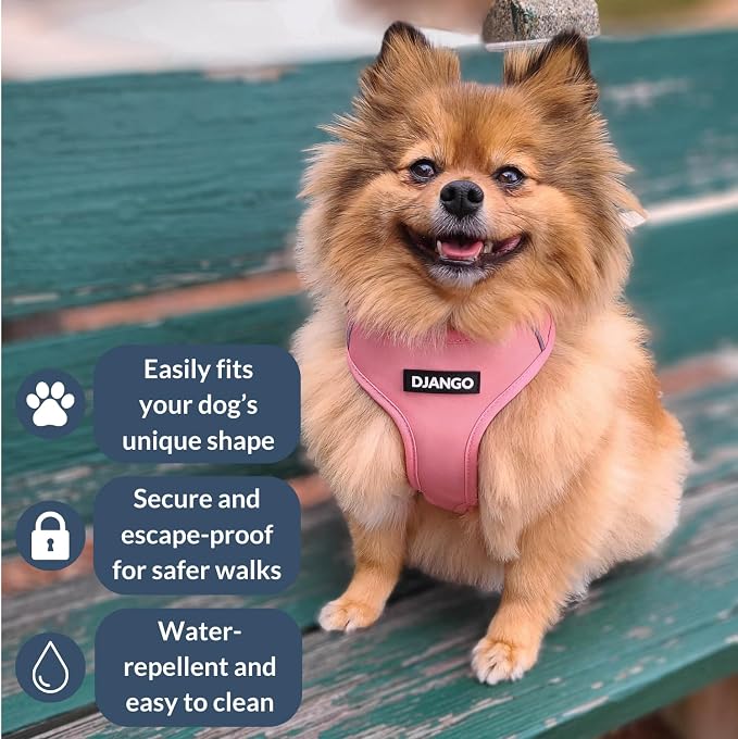 Adventure Dog Harness - Stylish, and Durable Large Dog Harness for Outdoor Adventures and Everyday Wear - Quartz Pink Neoprene Adjustable Harness for Dogs with Reflective Piping, Brass D-Ring