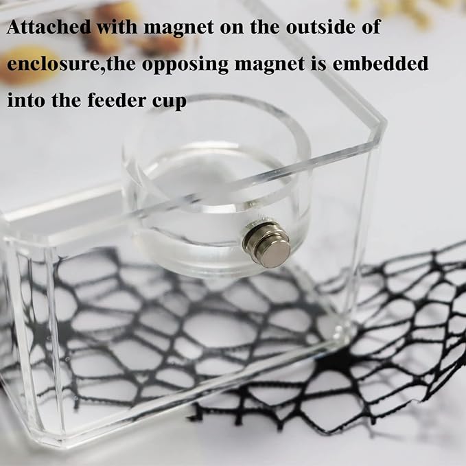 Small Jumping Spider Feeding Dish, Magnetic Tiny Food Dishes Water Dish for Jumping Spider, Tarantula and Other Small Pets,35mm, Clear