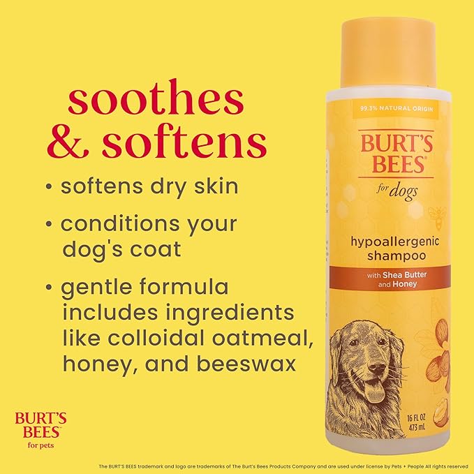 BURT'S BEES FOR PETS Hypoallergenic Dog Shampoo with Shea Butter and Honey, Gentle Fragrance Free Shampoo for Sensitive Dogs with 95% Natural Origin Skin and Coat Formula, 16 Fl Oz - 6 Pack