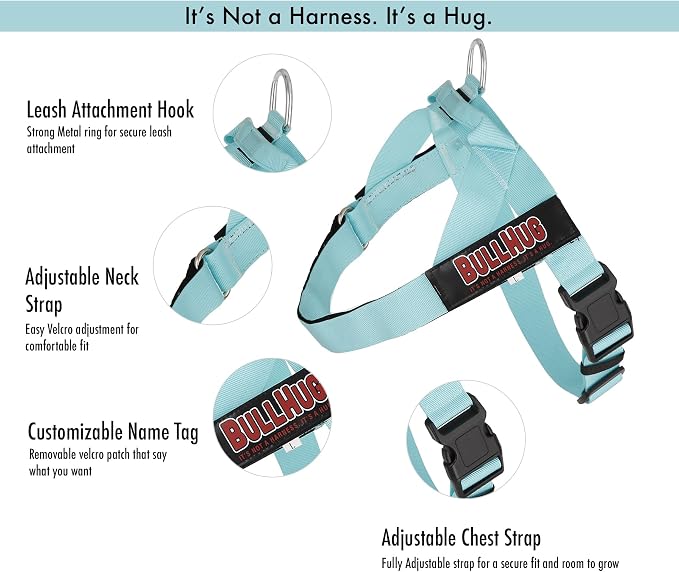 Adjustable Dog Harness– No Pull, No Choke – for English Bulldogs, French Bulldogs, Pugs & Broad-Chested Breeds – Easy, Safe Walks (Teal, Large)