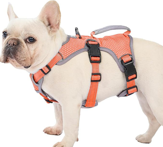 Escape Proof Dog Harness, Dachshund Harness, Reflective Dog Harness with Handle, Durable,Adjustable Vest for Small Medium Large Dogs Walking, Training, and Running Gear (Orange,M)