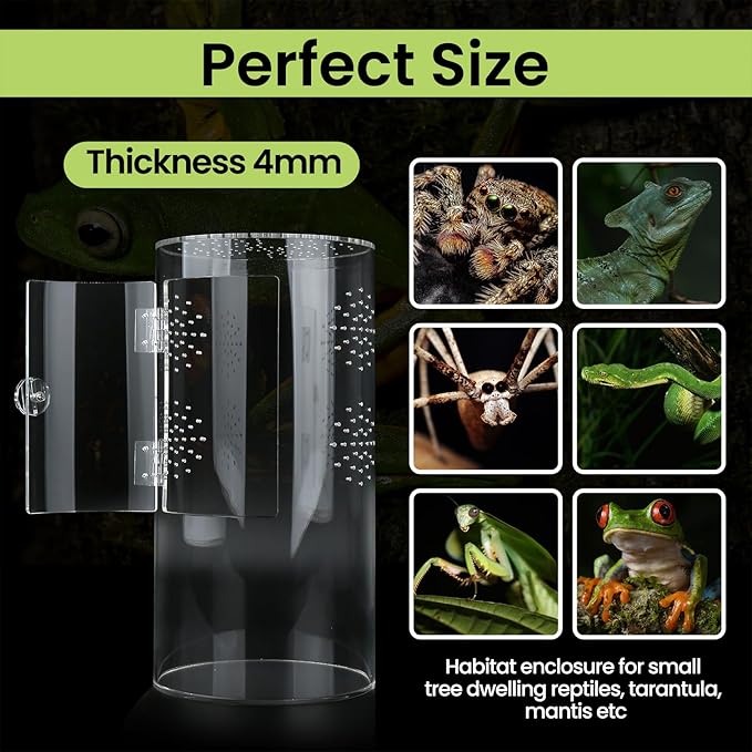 Front Opening Terrarium Jumping Spider Enclosure,Tall Arboreal Tarantula Enclosure Terrarium with Cross Ventilation,Waterproof Acrylic Reptile Enclosure