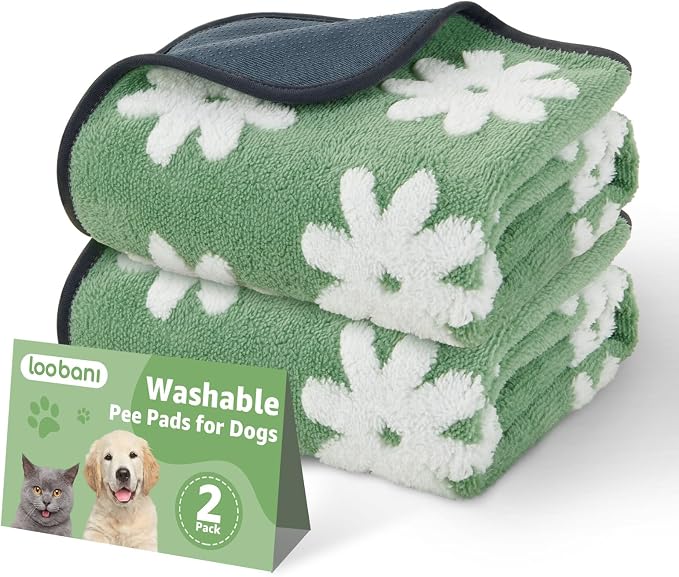 LOOBANI Washable Puppy Pads, Reusable Dog Pee Mat 36"x24", 2 Pack | Super Absorbent, Waterproof, Leakproof, Non-Slip, Soft For Playpen, Crate, Potty Training, Floors
