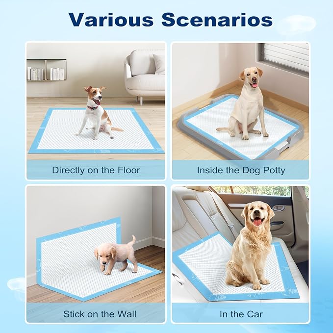 MIZOK XXL Pee Pads for Dogs Super Absorbent Dog Pee Pads Bulk 28x44in 100Ct | Heavy Duty Extra Long Dog Pads Feature Sticky Adhesive Tabs and Leak Proof Jellyfish Bottoms for Long Bodied Breeds