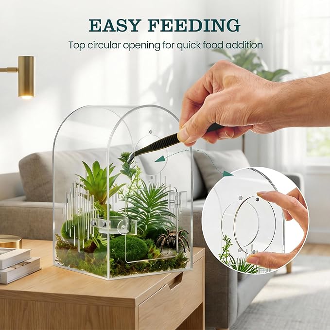 Acrylic Jumping Spider Enclosure, Clear Spider Enclosure Kit with Ventilation, Pre-Assembled Habitat for Jumping Spiders, Tarantula, Mantis, Insects
