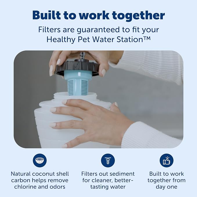PetSafe Healthy Pet Food & Water Station, Small, 2-Pack Filters | Gravity Food & Water Station, 2 lb food, 64 oz Water, Dishwasher-Safe Stainless Bowl, Extra Filters