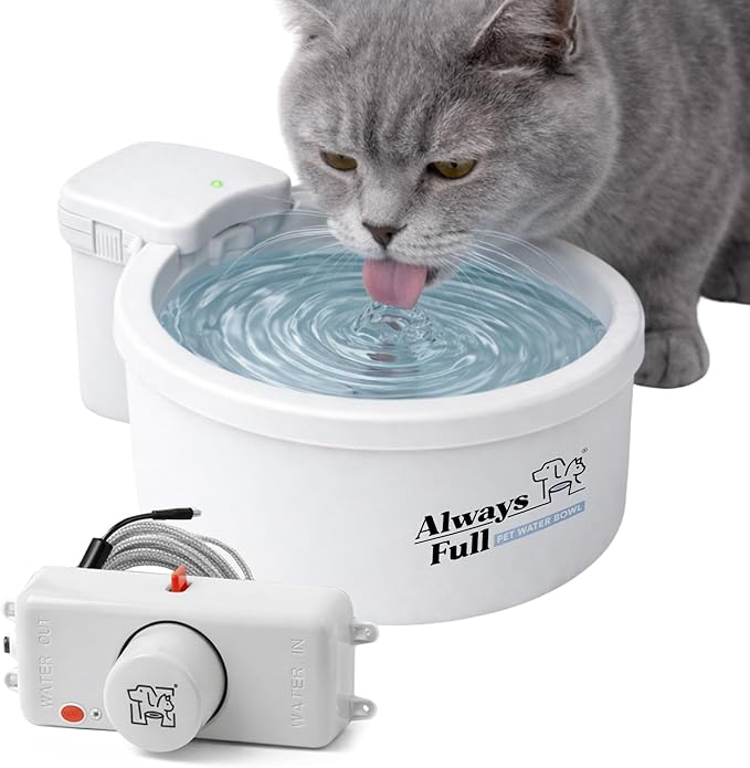 Always Full® 7" Self-Refilling Cat Water Bowl with Wall Unit | Self-refilling filtered water with app-enabled hydration monitoring; easily upgradeable to the Always Full® Wall Unit.