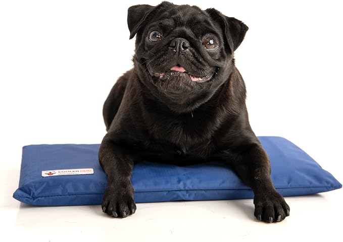 Hydro Cooling Mini Mat for Dogs – Dog Cooling Mat & Cooling Pad for Hot Weather – Triple Layer Ice & Water Cooling System (18" x 10.5")