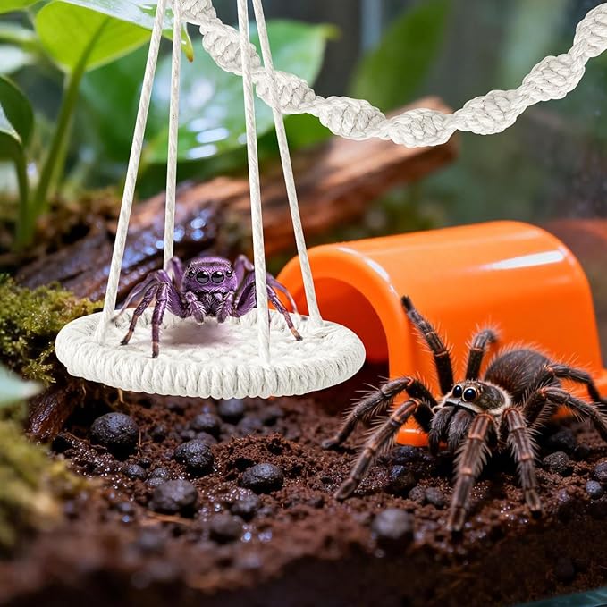 6 PCS Jumping Spider Rope Bridge Swings Set，Jumping Spider Webbed Moss Ribbon Tarantula Enclosure Accessories Natural Cotton Rope Handmade Pet Tiny Animals Enclosure Decorations