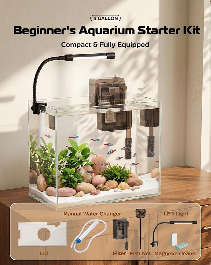 Glass Fish Tank Kit, 3 Gallon Betta Fish Tank Aquarium Starter Kit with Filter, Lights, Lid, for Betta, Goldfish, Small Fish or shrimg，Clear