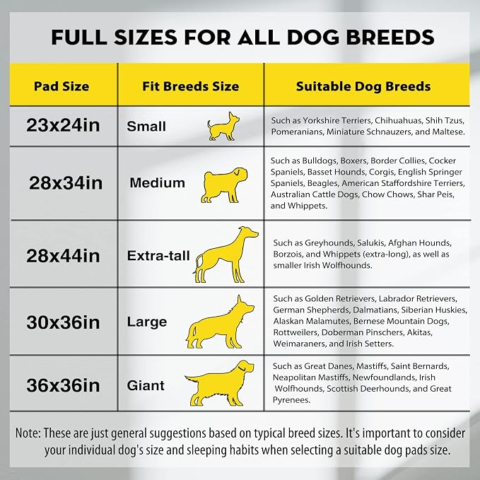 CROCI Charcoal Pee Pads for Dogs Odor Control Leak Proof 23x24in 100Ct | Super Absorbent Dog Pee Pads with Adhesive Tabs, Heavy Duty, Dog Potty Training, Quick-Dry Surface, Disposable