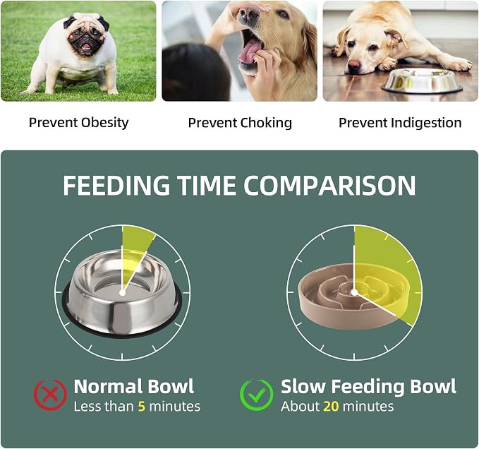 Havniva Elevated Slow Feeder Dog Bowls, Ceramic Dog Bowl Slow Feeder Set | 1.6 Cups Raised Slow Feeder Dog Bowl for Medium Breed, 7.3” Dog Water Bowl with Wooden Stand, Puzzle Dog Food Bowl, Non-slip