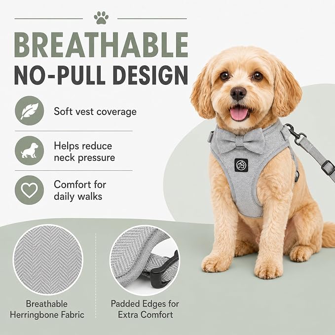 EVERKING 5-Piece Dog Travel Set, Adjustable Harness, Leash, Collar, Poop Bags, Bowtie for Small Medium Dogs, Beige, Breathable No-Pull Design (Slate Gray, L)