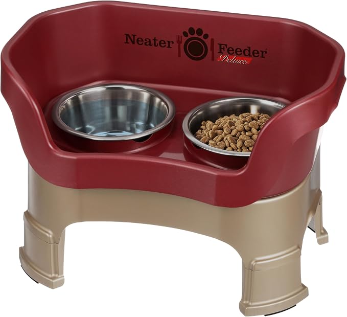 Neater Feeder Deluxe Mess-Proof Elevated Dog Bowls for Medium Dogs (19–40 lbs), 2 Height Adjustable (10” & 12.5”) No-Spill Raised Dog Bowl Stand, Stainless Steel Food Bowl Set, Made in USA, Cranberry