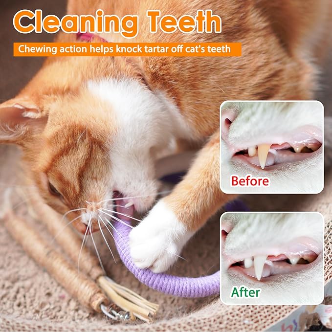Tocirelo Silvervine Sticks for Cats & Cat Chew Rope - 8Pcs Natural Cat Chew Toy Teeth Cleaning for Bored Indoor Adult Cats, Matatabi Dental Care Kitten Treat Teething Toys, Silver Vine Cat Chew Stick
