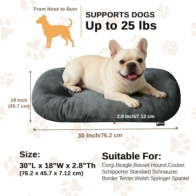 Washable Oval Medium Dog Bed, Silver-Tipped High-Resilience, Dark Gray | Non-Slip Bottom Prevents Sliding, Soft Plush Short Fur, Machine Washable, Ideal for Crates/Apartments/Cozy Nooks,29"x18"x2.8"