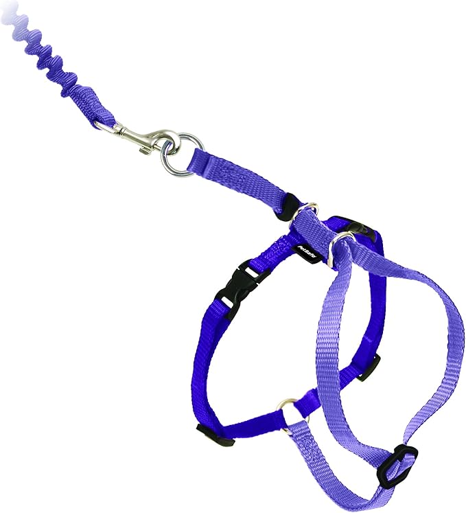 PetSafe Come with Me Kitty Harness and Bungee Cat Leash, Lilac, Small | Adjustable 2-Point Fit Applies Gentle Pressure to Shoulders, Not Neck, for Kittens and Small Cats with 9 in - 11 in Girth