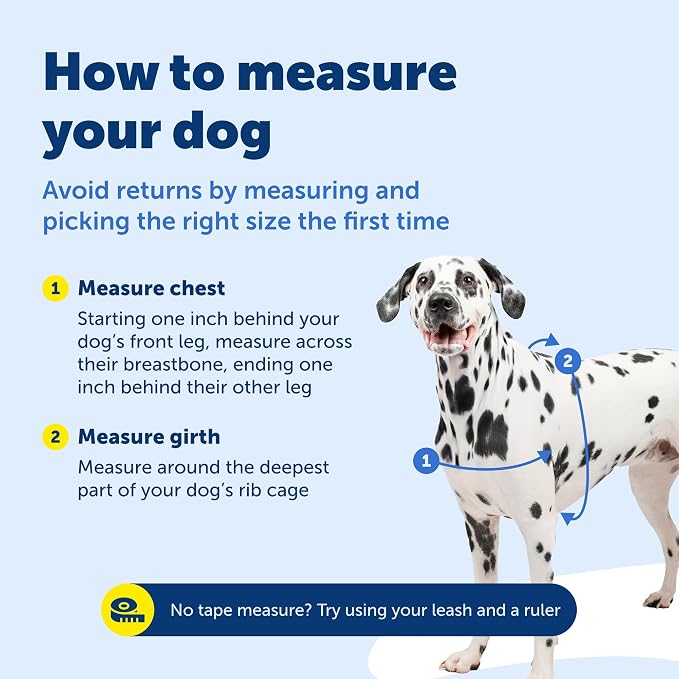 PetSafe Easy Walk Harness, No Pull Dog Harness, Black, Small | Patented Martingale Loop Gives Gradual Shoulder Pressure to Stop Pulling, Front-Chest Leash Clip Prevents Gagging